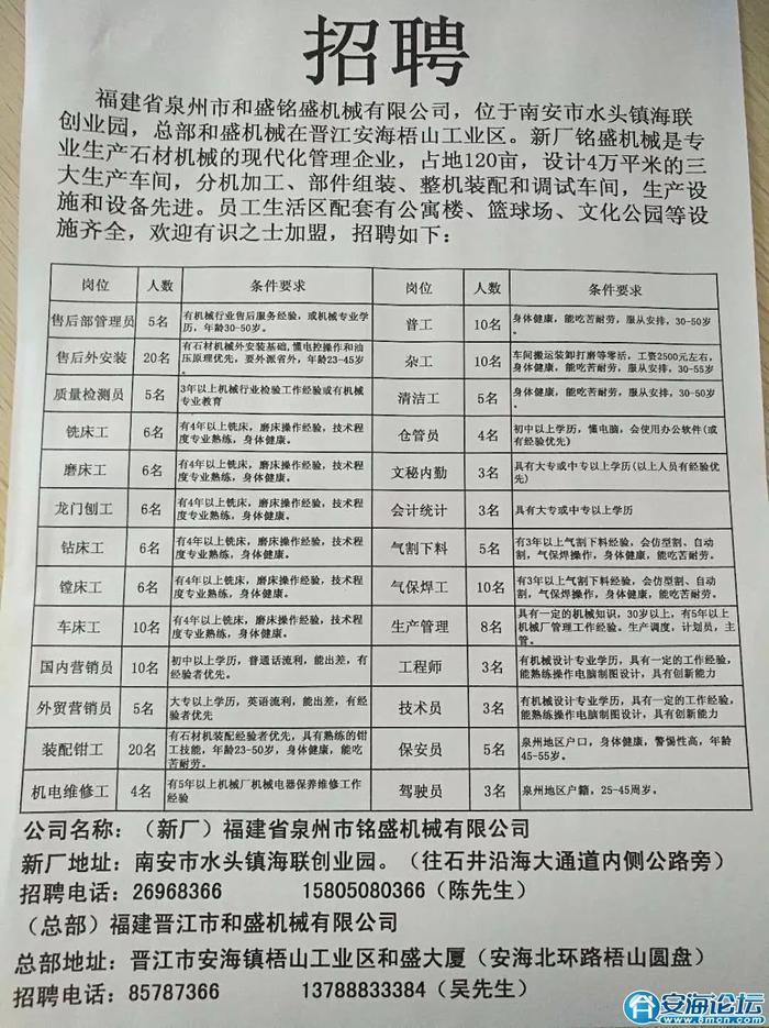 灵桥镇最新招聘信息概览及分析