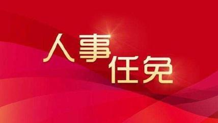 市中区医疗保障局人事任命动态深度解析