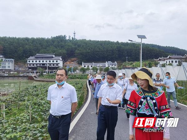 竹山县统计局最新项目概览