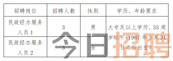 商水县数据和政务服务局最新招聘信息详解