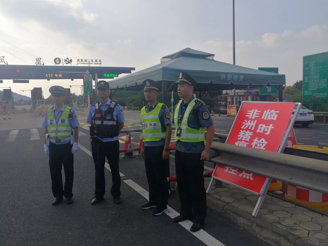 任港街道优化交通环境，提升居民出行体验最新报道