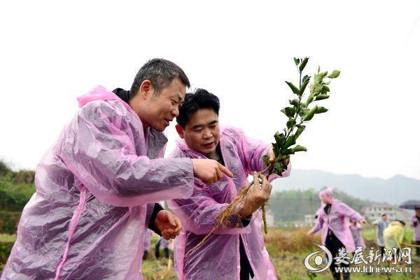 娄底市财政局领导团队全新亮相，未来工作展望与期待