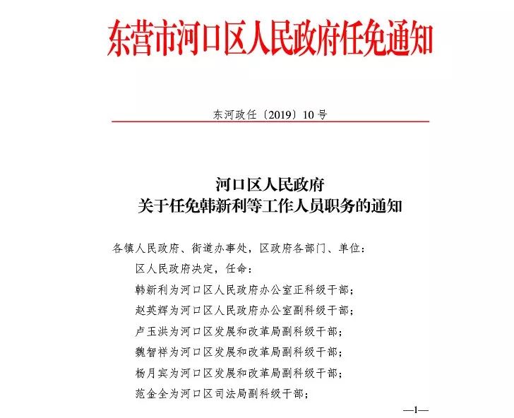 龙口市人民政府办公室人事任命，塑造未来领导团队新篇章